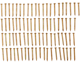 Eureka Brass Plated Escutcheon Pin 16 mm