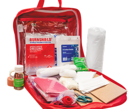 Levtrade First Aid Kit In Bag Small