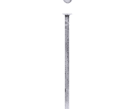 Eureka 100 mm Wire Nails 1 kg