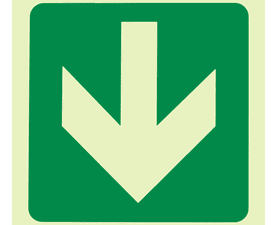 Parrot Products Photoluminescent E23 Arrow Down Sign Green 190 mm