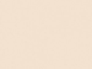 PORCELAIN TILE 600X600 1.44m2 IVORY