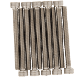 Build and Fix 10 x Hex Socket/Cap Head Screws 6 x 60 mm