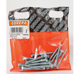 Eureka 1CE10U 5 x 40 mm Coach Screw Galvanised 20 Pack