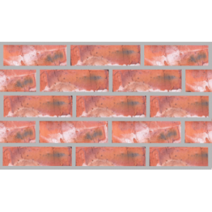Brick Clay Stock 222X114X90MM